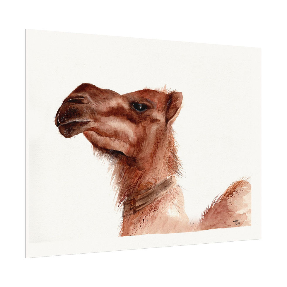 Thumbnail: Camel Portrait - Fine Art Print