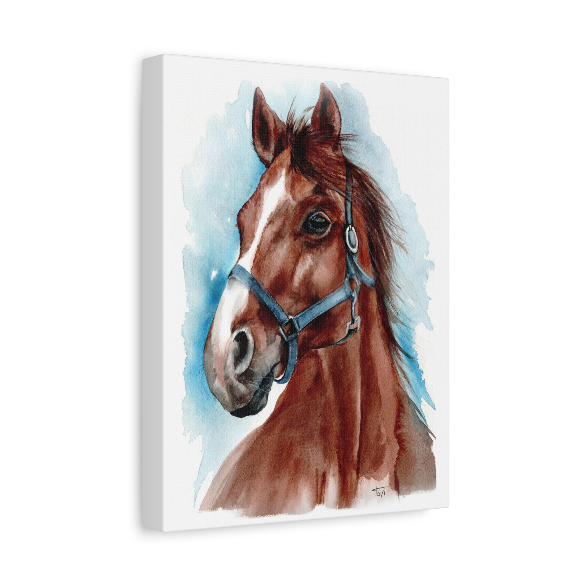 Brown Horse - Canvas Print