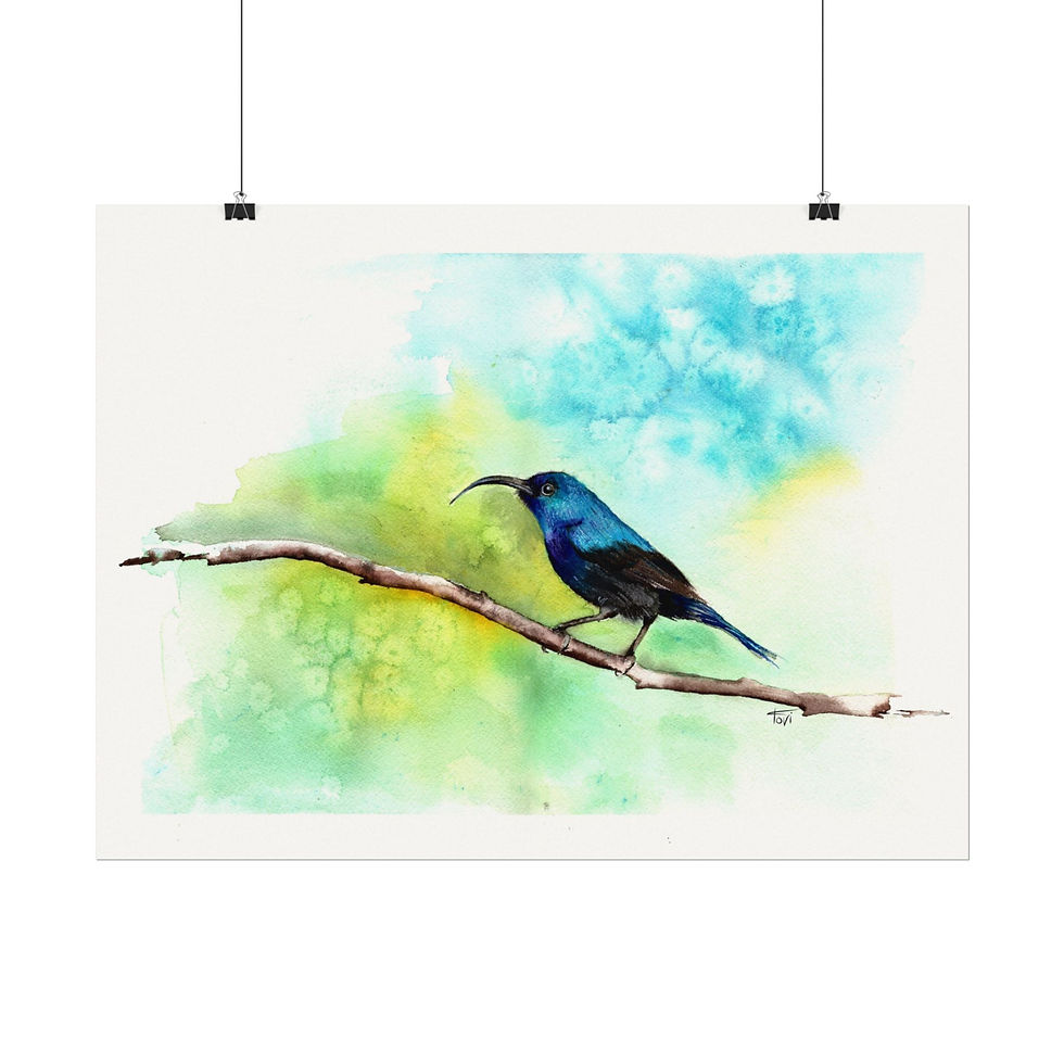 Thumbnail: Sunbird - Fine Art Print