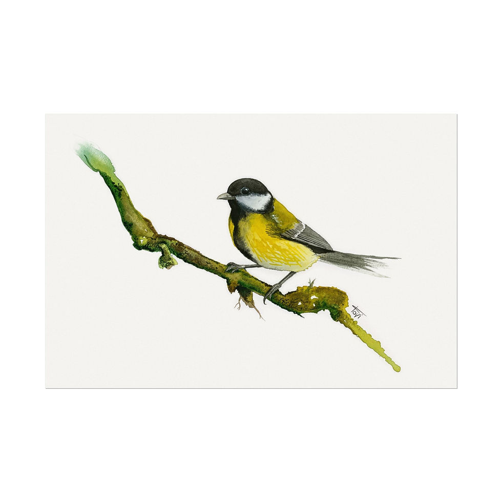 Thumbnail: Great Tit - Fine Art Print