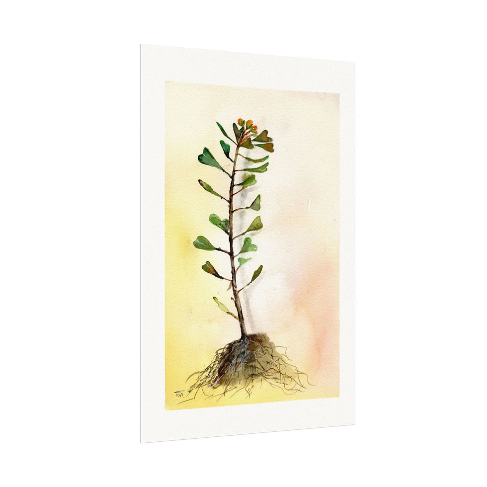 Thumbnail: Young Sapling - Fine Art Print