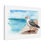 Thumbnail: Seagull by Shore - Canvas Print