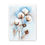 Thumbnail: Cotton Plant