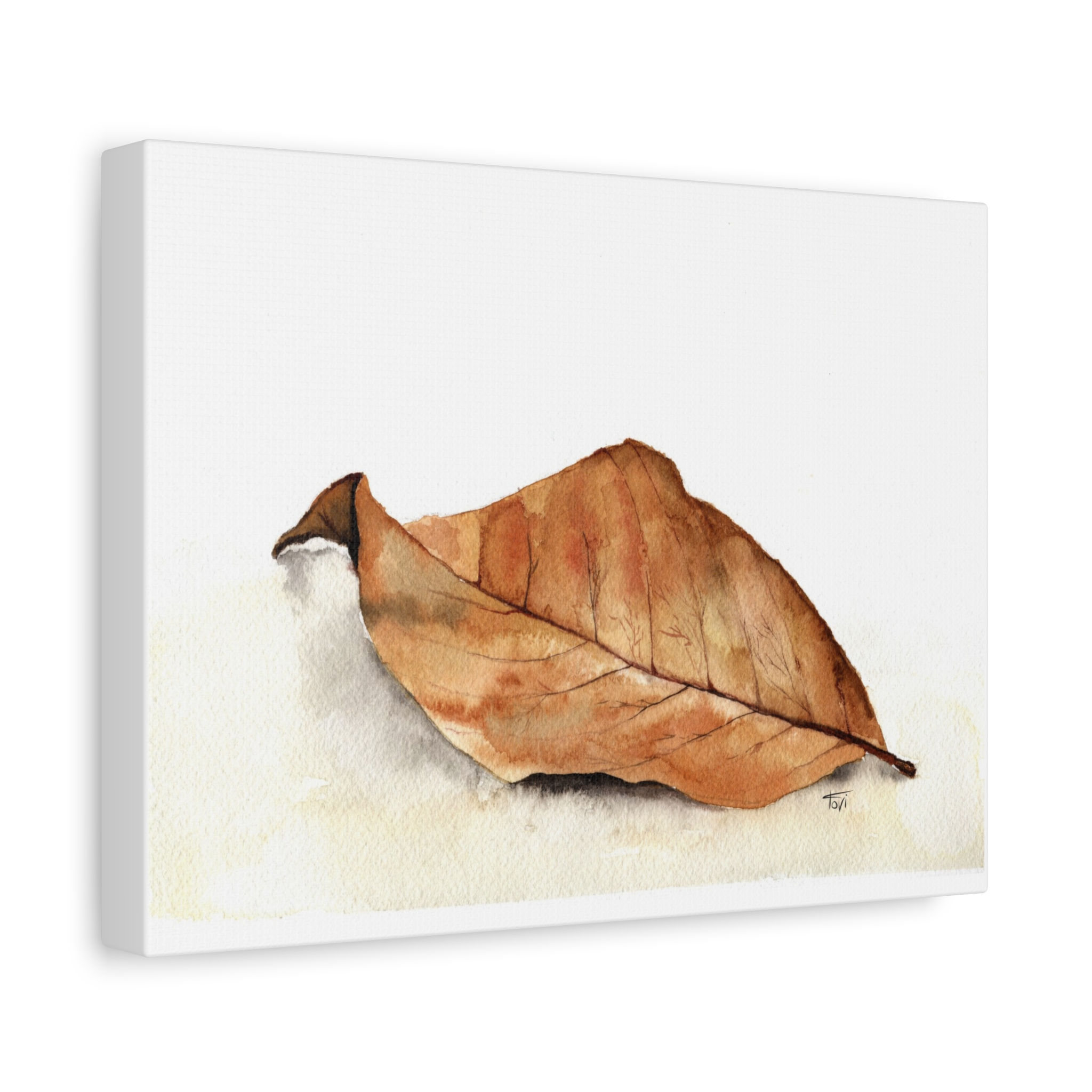 Dried Leaf - Canvas Print