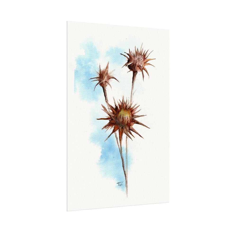 Thumbnail: Thistle Flower - Fine Art Print