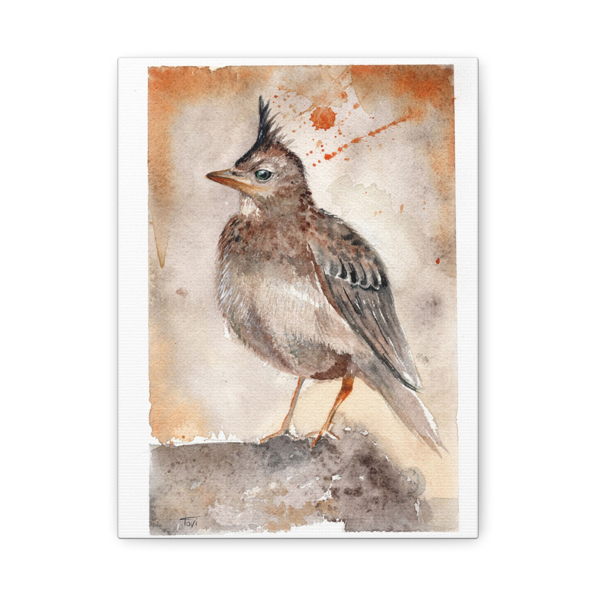 Eurasian Skylark