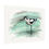 Thumbnail: Pied Avocet - Fine Art Print