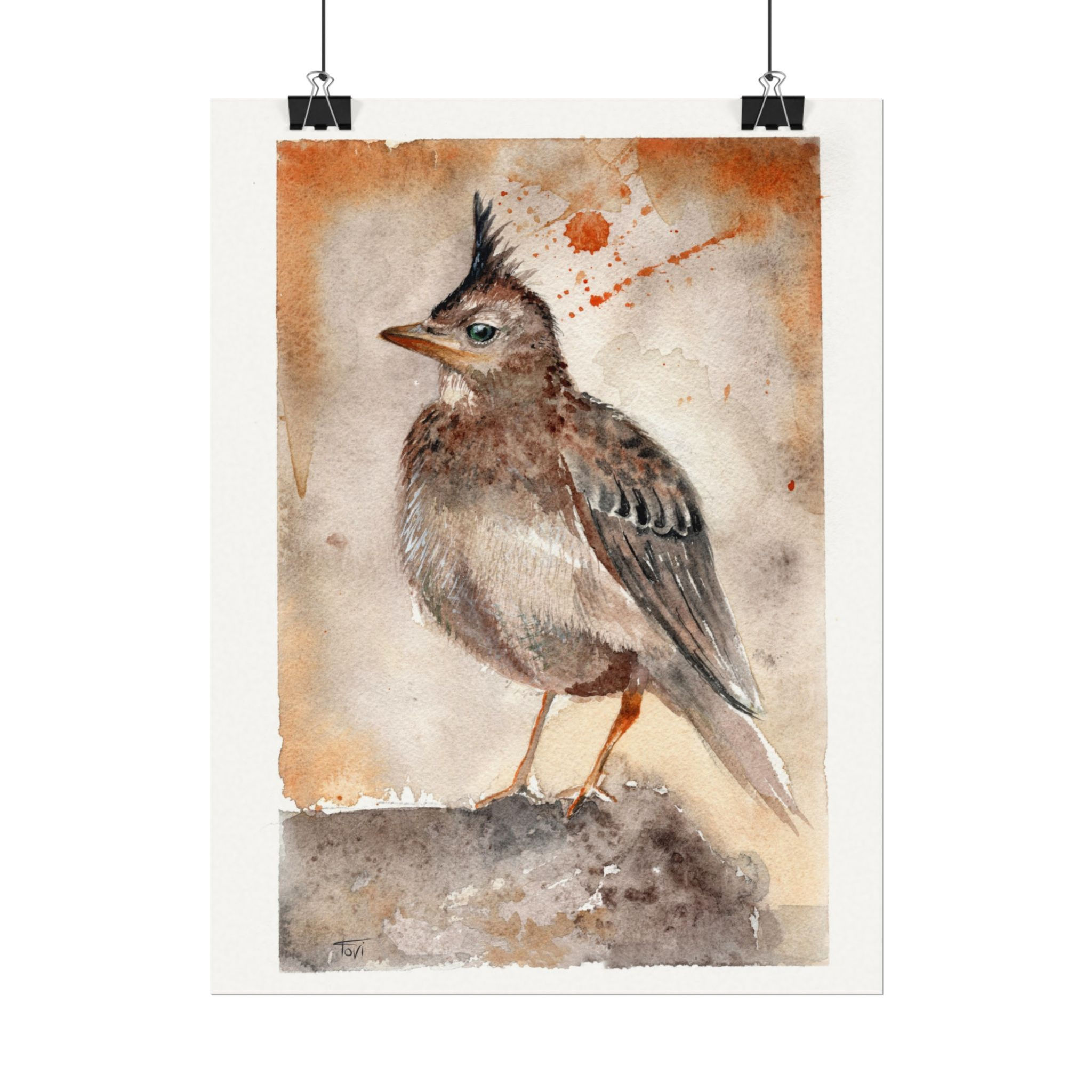 Eurasian Skylark - Fine Art Print