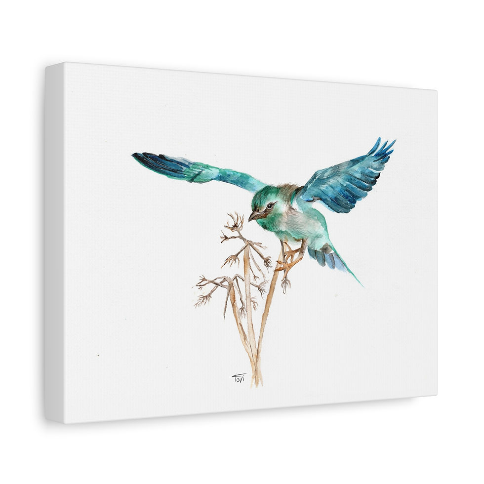 European roller