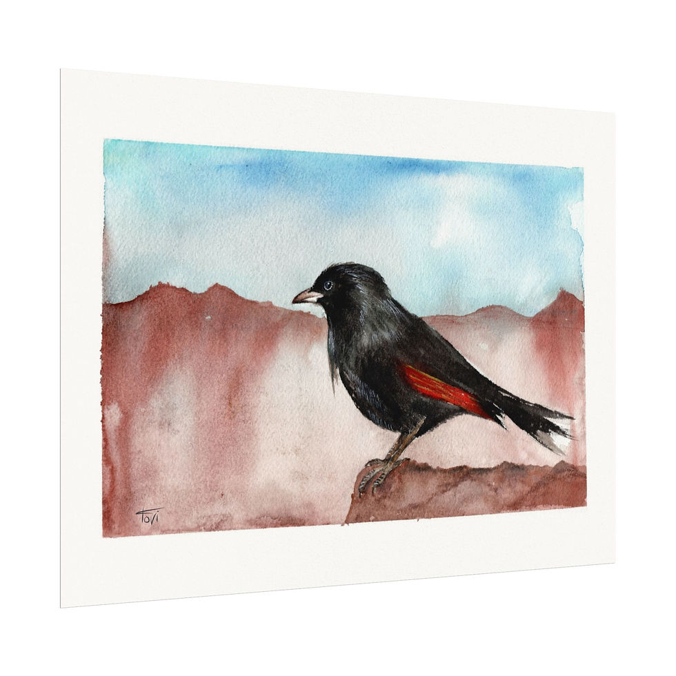 Thumbnail: Redstart Bird - tristramii - Fine Art Print