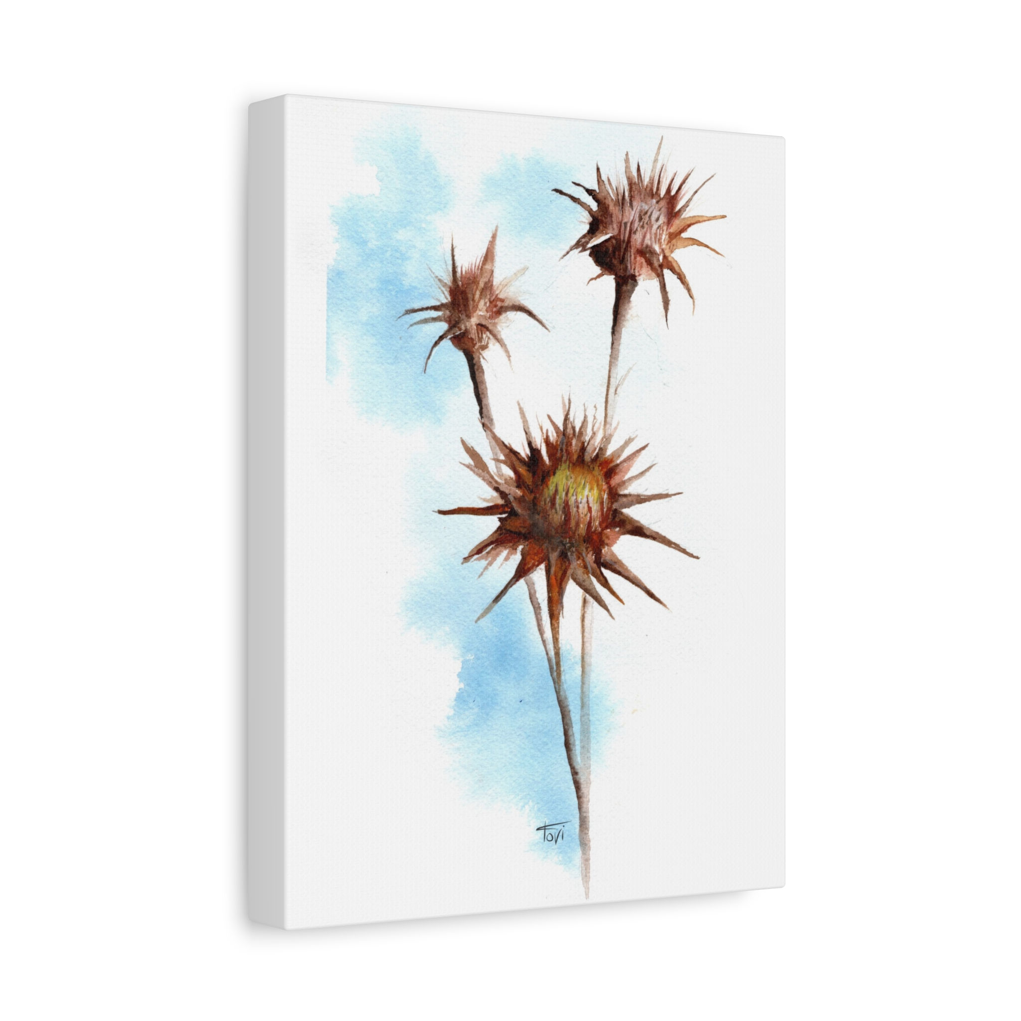 Thistle Flower - Canvas Print
