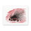 Thumbnail: Porcupine