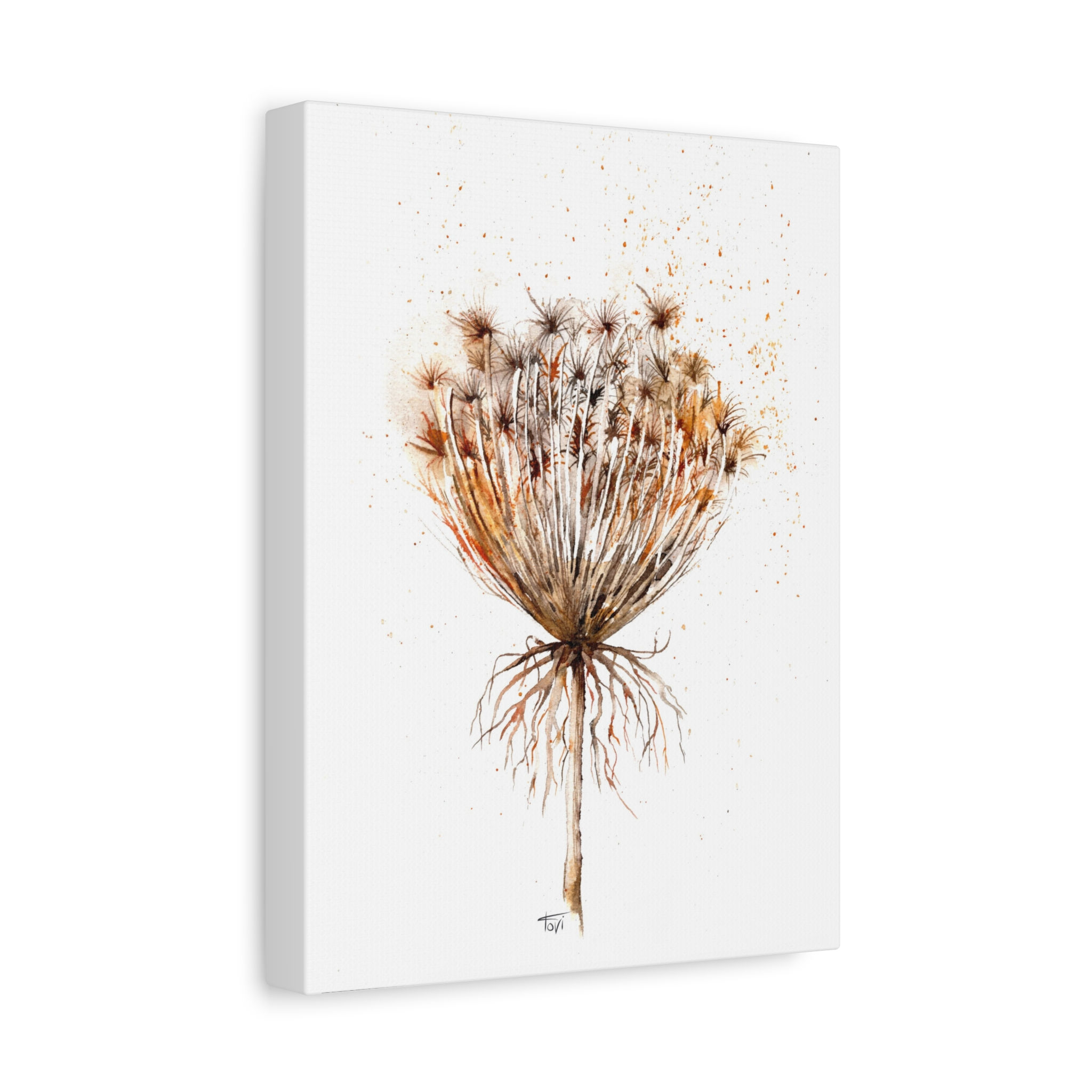 Wild Carrot subsp - Canvas Print