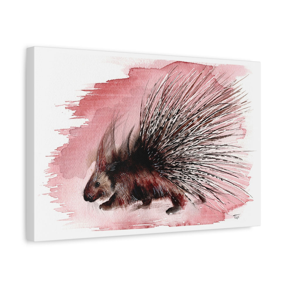 Thumbnail: Porcupine - Canvas Print