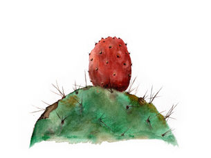 The Duality of Beauty: Painting the Prickly Pear Cactus - Sabres