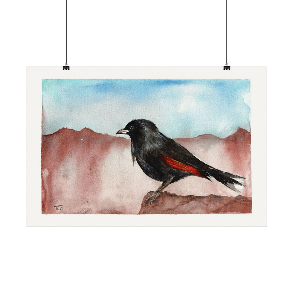 Thumbnail: Redstart Bird - tristramii - Fine Art Print