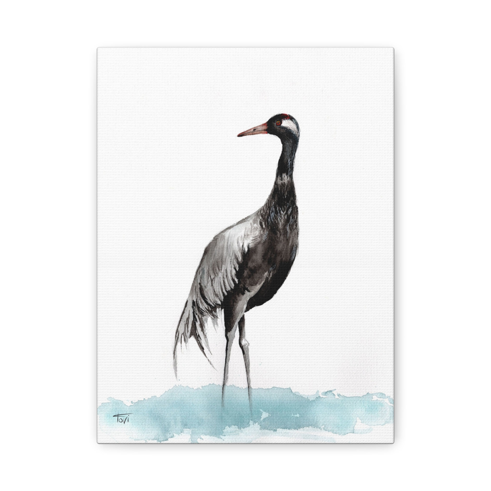 Grey Crane