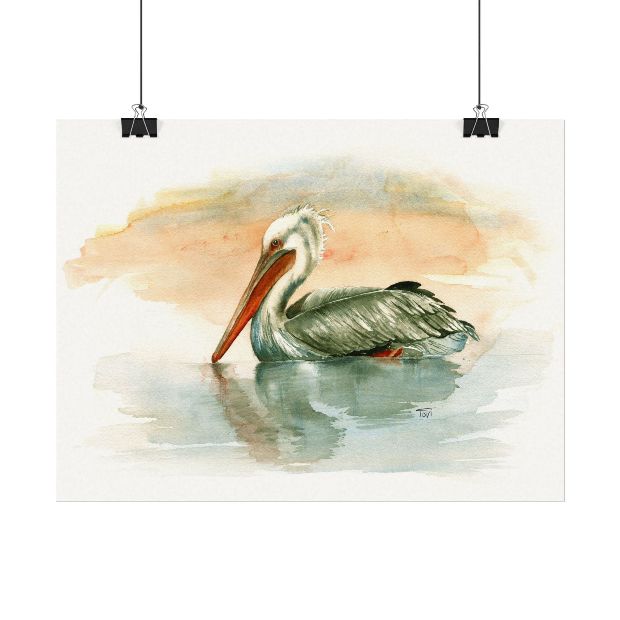 Pelican - Fine Art Print