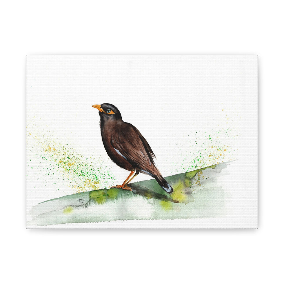 Common Myna