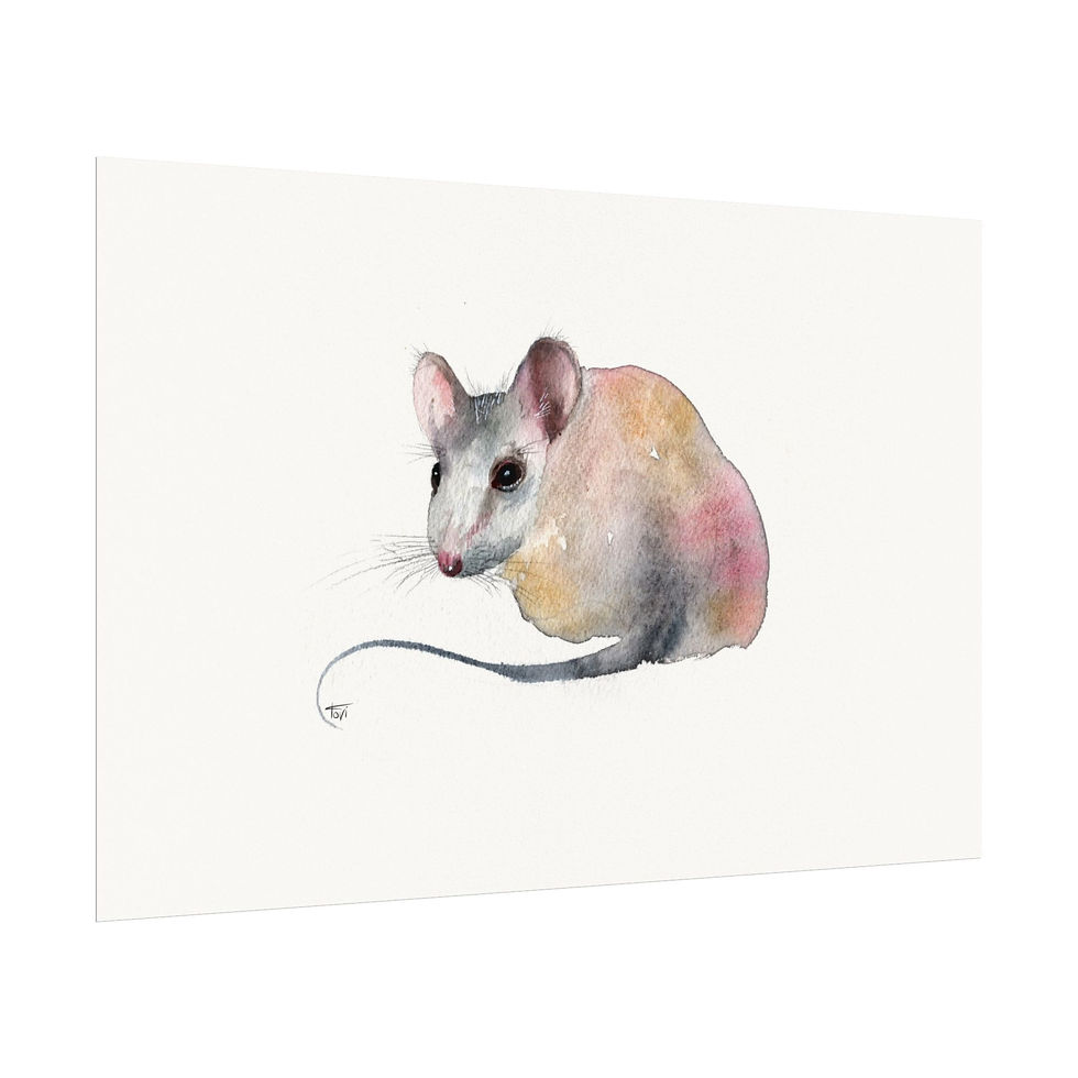 Thumbnail: White Mouse - Fine Art Print