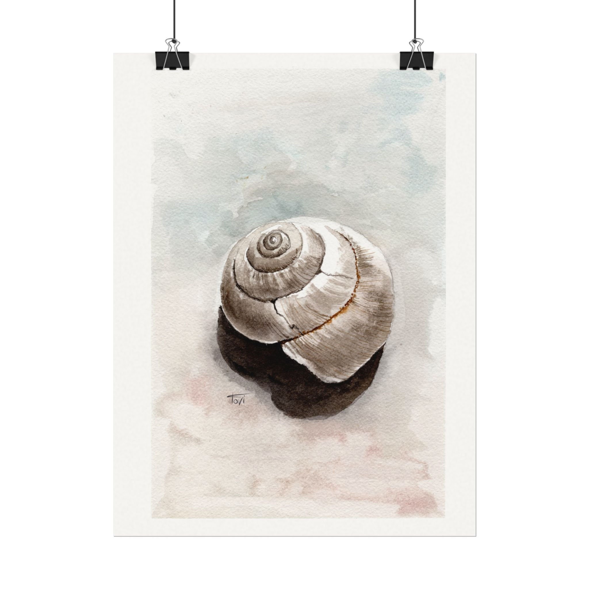Gray Spiral Shell - Fine Art Print