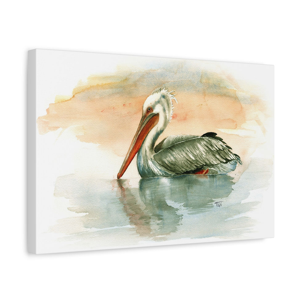 Thumbnail: Pelican - Canvas Print