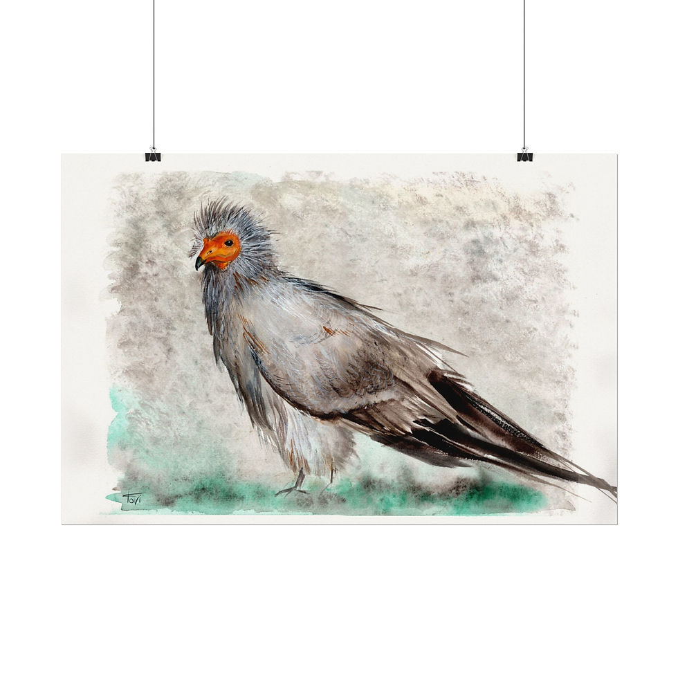 Thumbnail: Egyptian Vulture - Fine Art Print