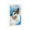 Thumbnail: White Cat - Fine Art Print