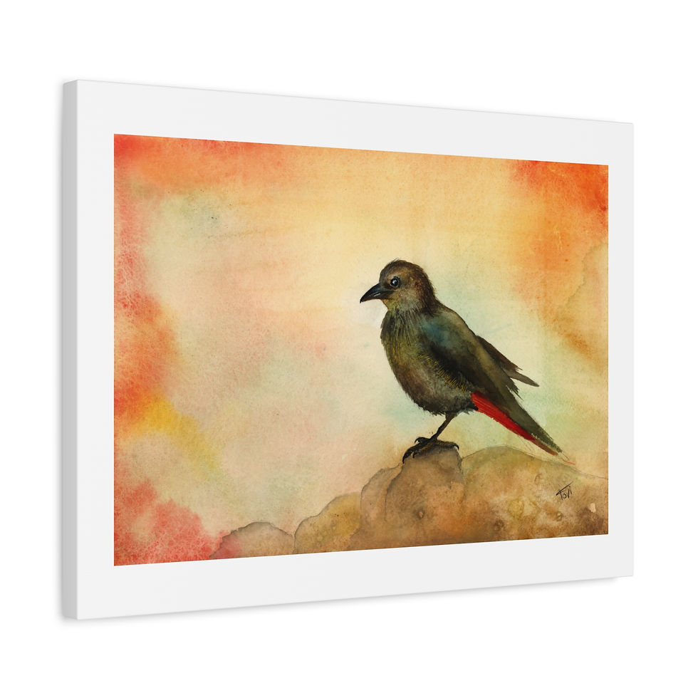 Thumbnail: tristramiion rock - Canvas Print