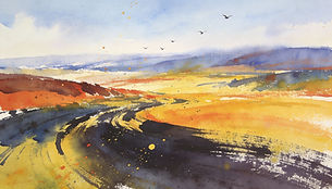 רקע לציפורים.jpeg