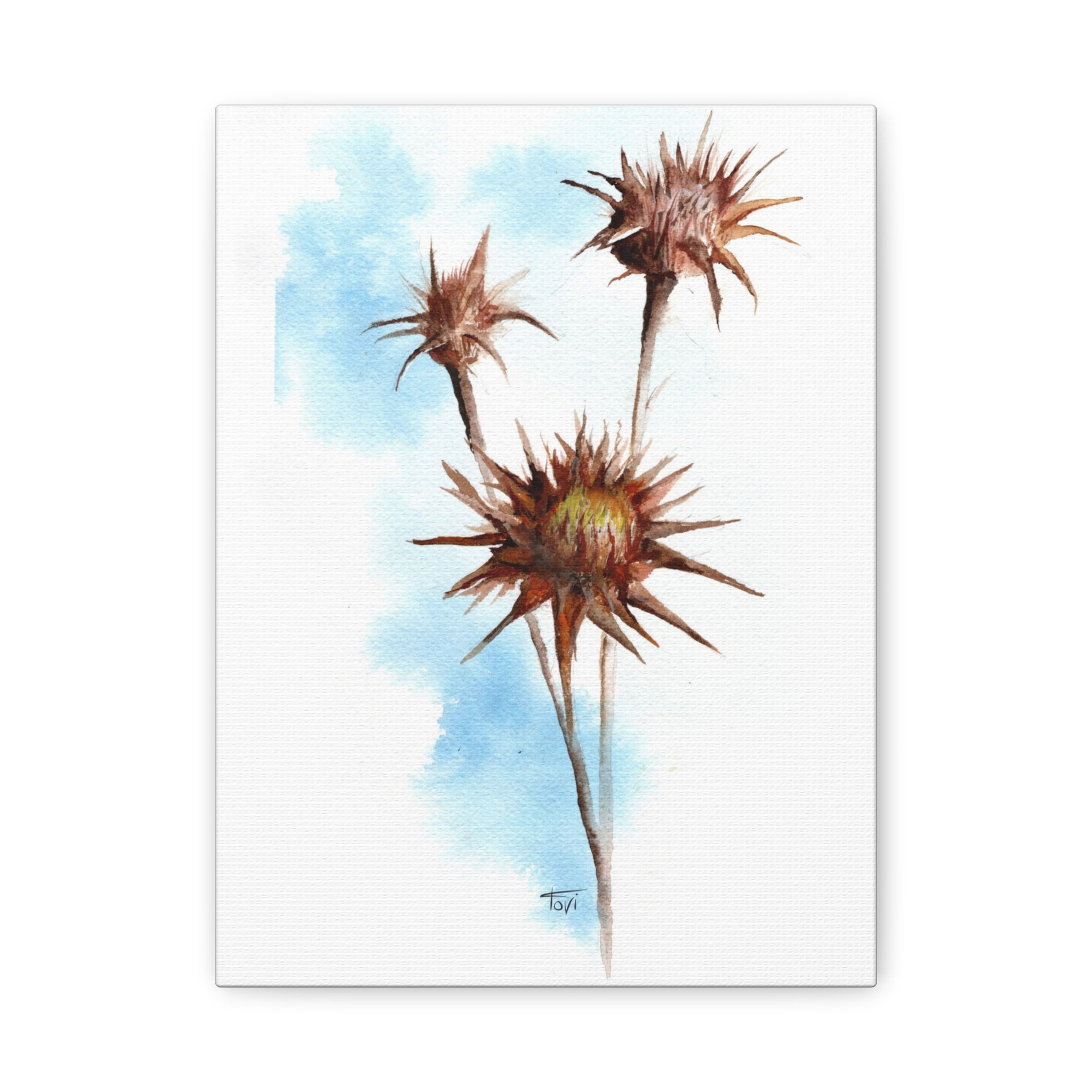 Thistle Flower