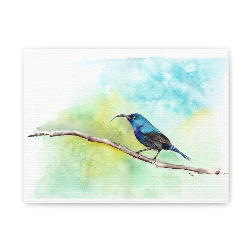Sunbird