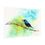 Thumbnail: Sunbird - Fine Art Print