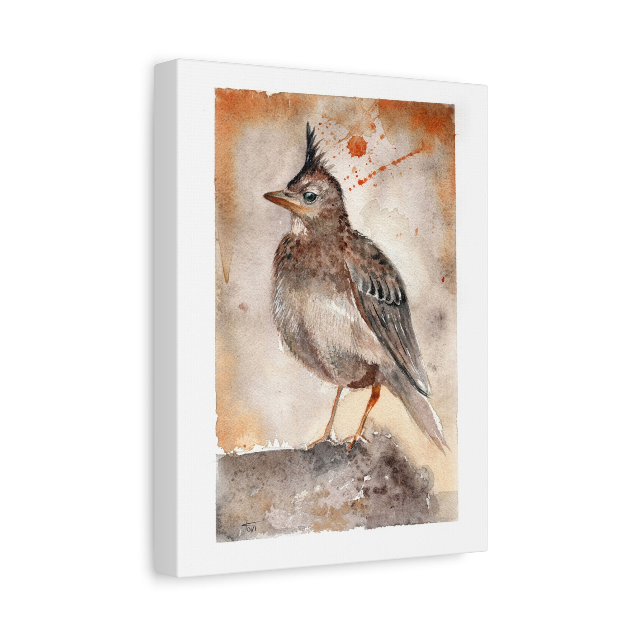 Eurasian Skylark - Canvas Print