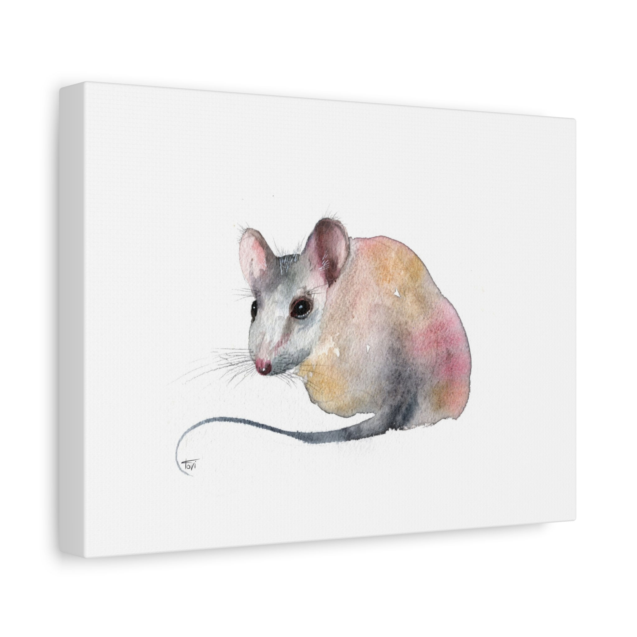 White Mouse - Canvas Print