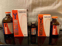 WhatsApp Image 2021-06-23 at 19.35