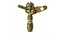 cm25.png