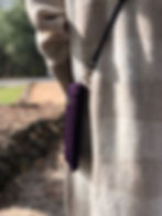 Thumbnail: Crossbody Phone Sleeve - Aubergine