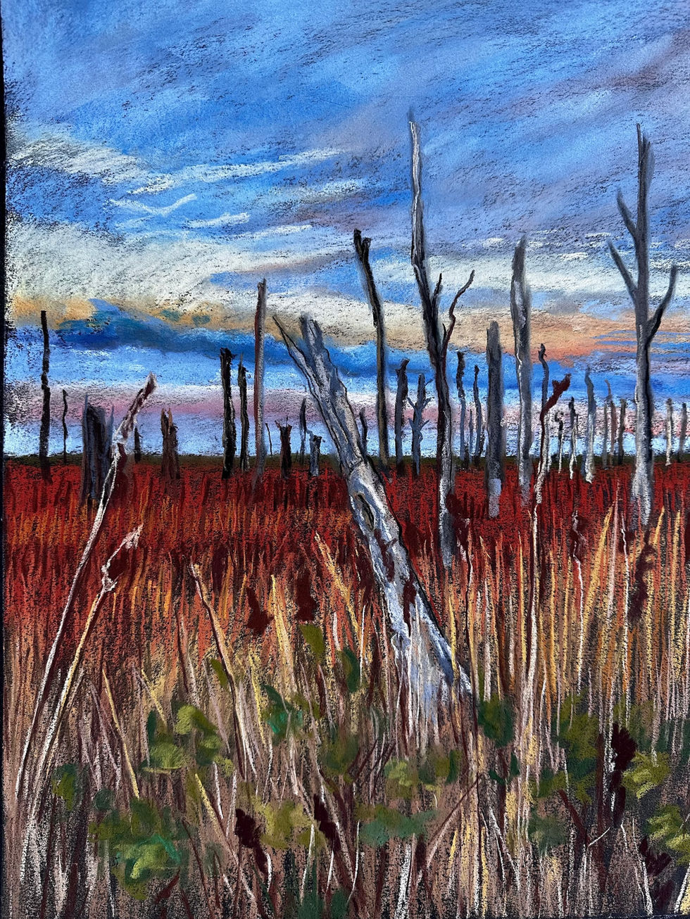 Ghost Forest Sky