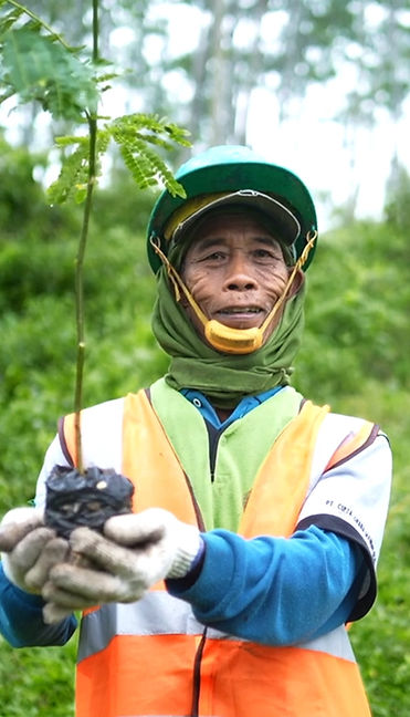 Indonesian man holding a falcata sappling.