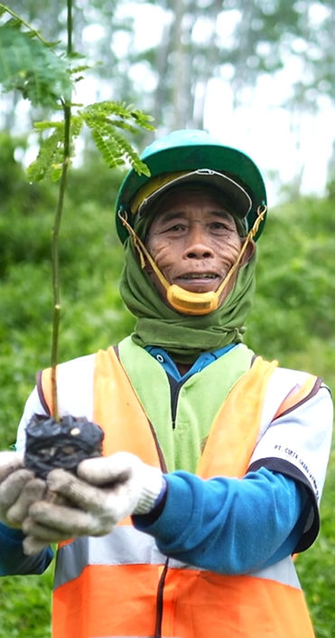 Indonesian man holding a falcata sappling.