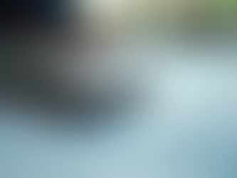 Understanding Cash Flow Management for Business Growth