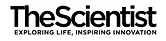 Untitled design (18).png