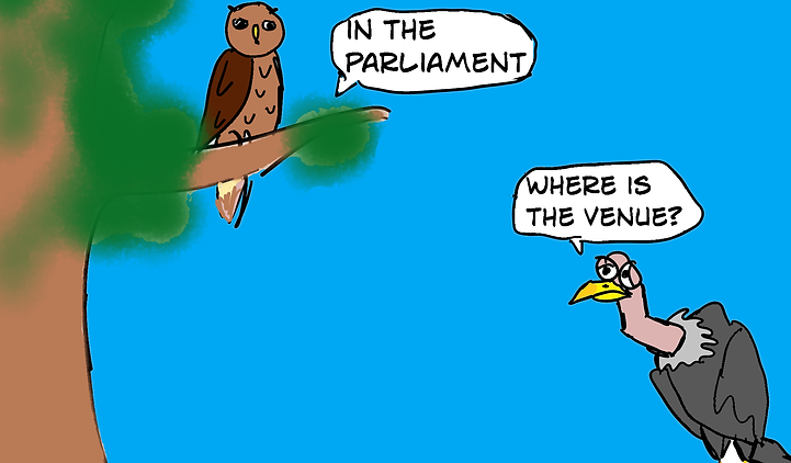 vulture parliament.png