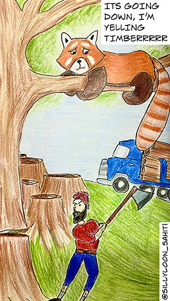 RED PANDA COMIC.jpg