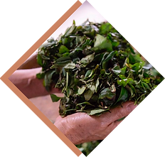 台湾台東ごちそうフェア（たいわんたいとうごちそうふぇあ）台東ｘ宮崎ｘ熊本