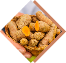 台湾台東ごちそうフェア（たいわんたいとうごちそうふぇあ）台東ｘ宮崎ｘ熊本