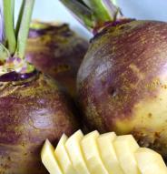 Rutabaga"Famille Fortin"