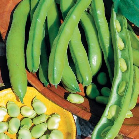Gourgane Aguadulce