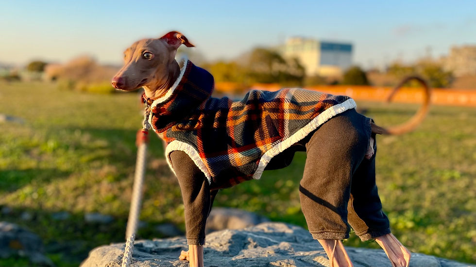 チェック柄フリースベスト/オレンジ・グリーンタータン